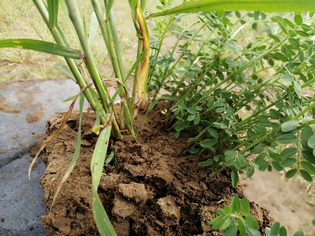 Explore our services